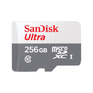 SDSQUA4-256G-GN6MN